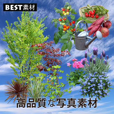 樹木や植物の素材集「BEST素材」