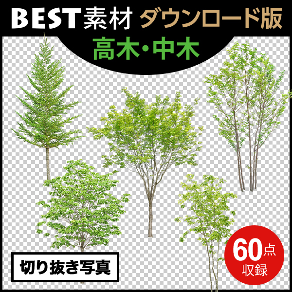 【BEST素材】（建物を引き立てる樹木）高木-中木
