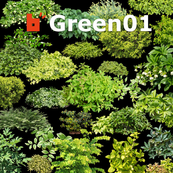【樹木素材】ガーデン庭木素材　グリーン系  31点  G30_03