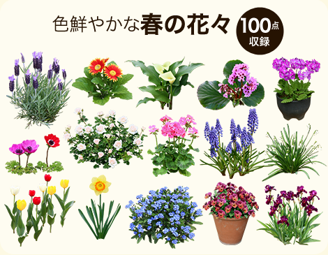 【BEST素材】春の花