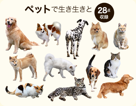 【BEST素材】切り抜き写真_動物(犬と猫)