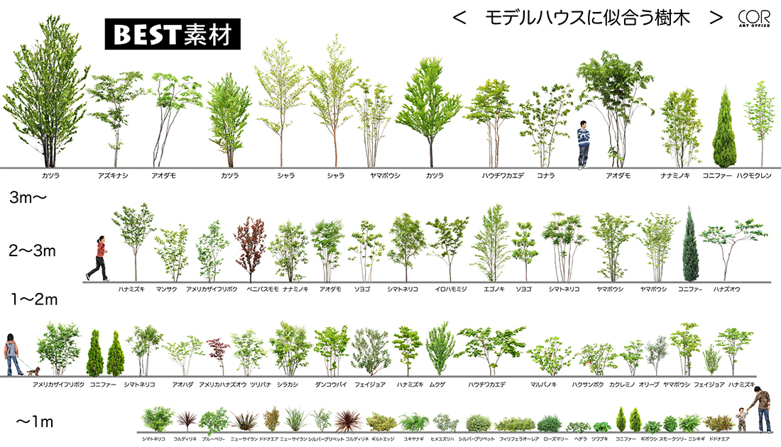 【BEST素材】モデルハウスに似合う樹木たち