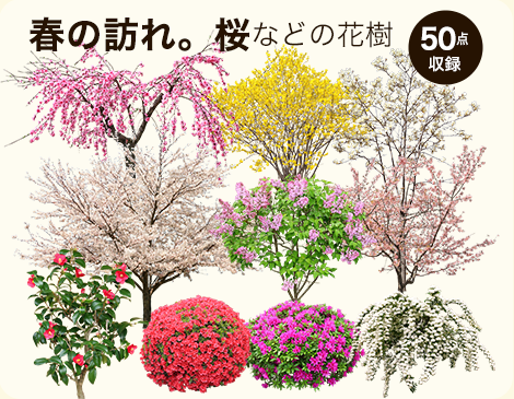 【BEST素材】切り抜き写真_街を彩る春の花樹