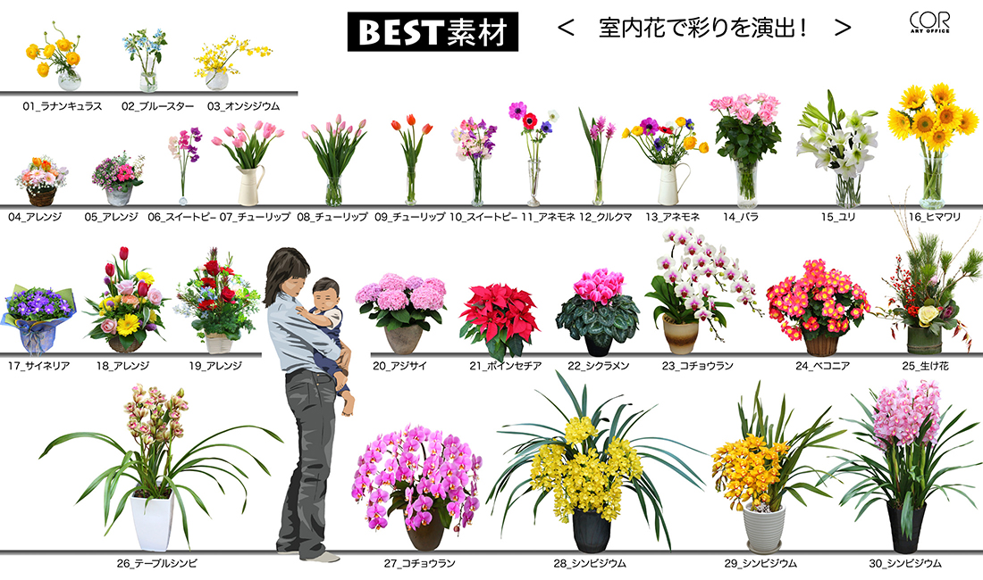 【BEST素材】室内花で彩りを演出！