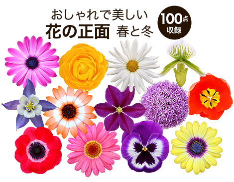 【BEST素材】切り抜き花の顔-春と冬